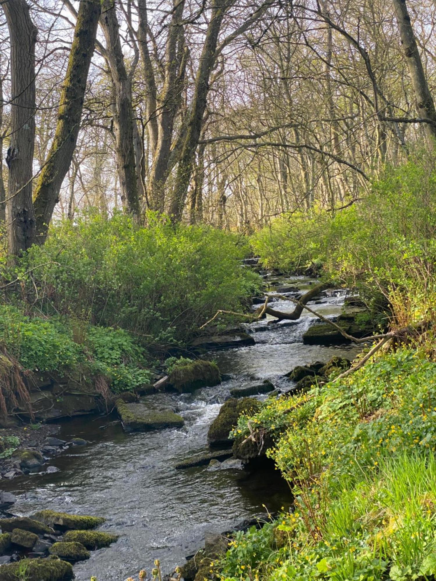 Forse Of Nature Latheron Zewnętrze zdjęcie
